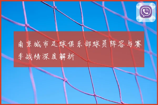 南京城市足球俱乐部球员阵容与赛季战绩深度解析