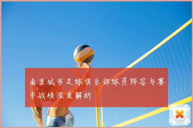南京城市足球俱乐部球员阵容与赛季战绩深度解析