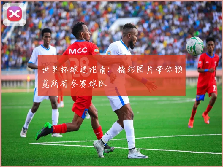 世界杯球迷指南：精彩图片带你预览所有参赛球队