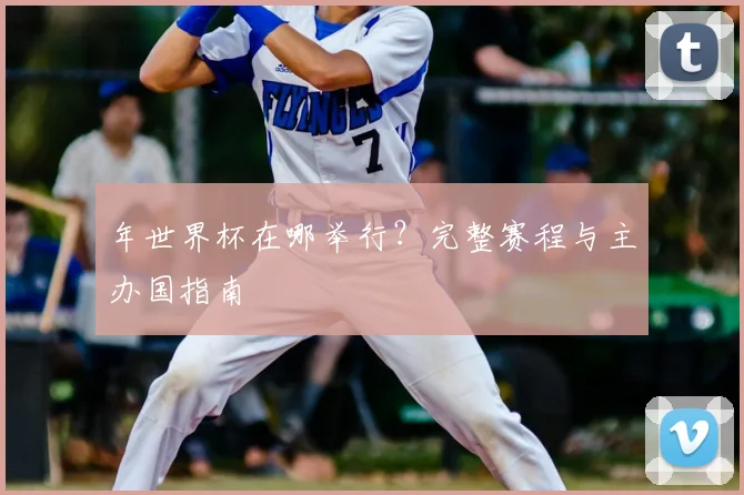 年世界杯在哪举行?完整赛程与主办国指南