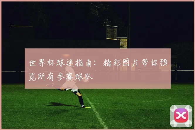 世界杯球迷指南：精彩图片带你预览所有参赛球队